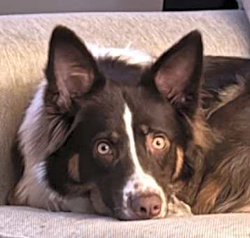 Photo of Oakley
