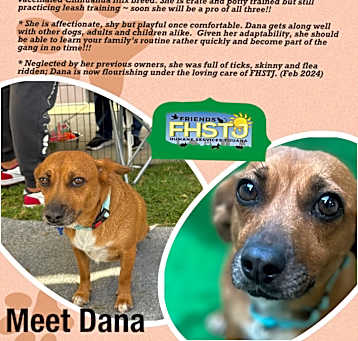 Photo of Dana