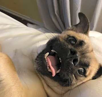 Photo of Tito