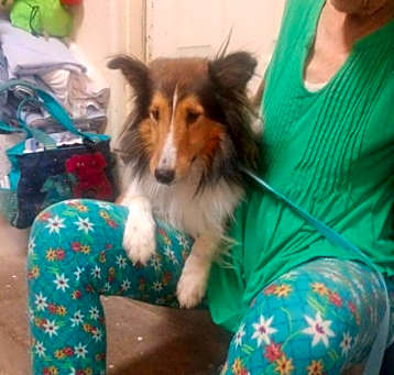 Photo of Max