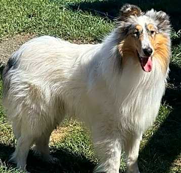 Photo of Blu nka Duncan