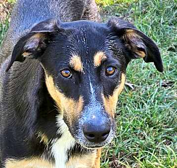Photo of Skeeter