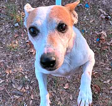 Photo of Thelma