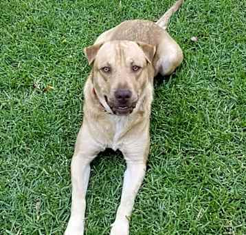 Photo of Zuko