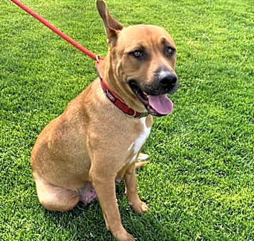 Photo of Ruby