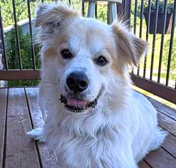 Photo of Rocky