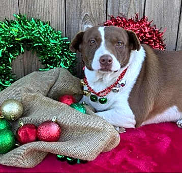 Photo of Codette