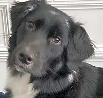 Photo of Persephone