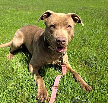 Photo of Molly May