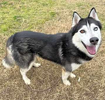 Photo of Hugo