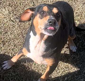 Photo of Agnes