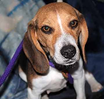 Photo of Lilli