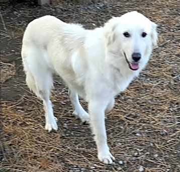 Photo of Cecelia