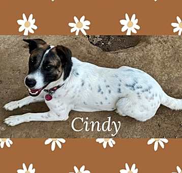 Photo of Cindy