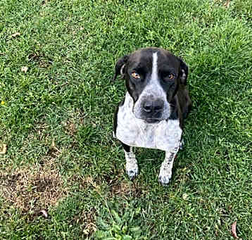 Photo of Aspen