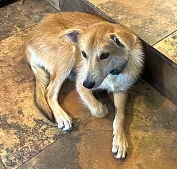 Photo of Sandy
