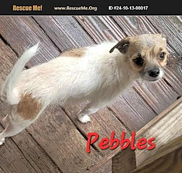 Photo of Pebbles