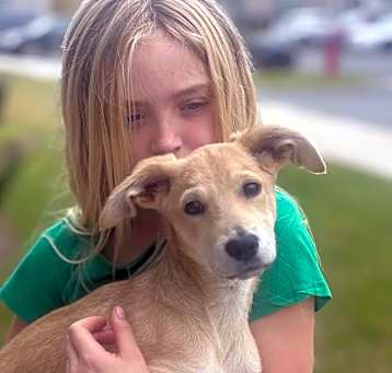 Photo of Dobby
