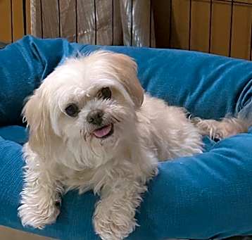 Photo of Hattie