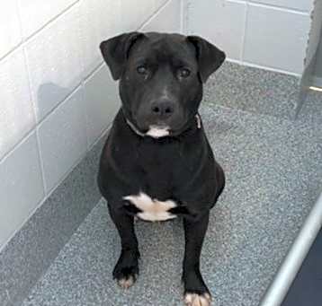 Photo of Blue