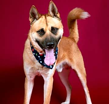 Photo of CORTEZ
