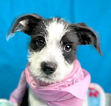 Photo of Jenny