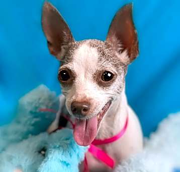 Photo of Ethel