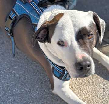 Photo of Tank