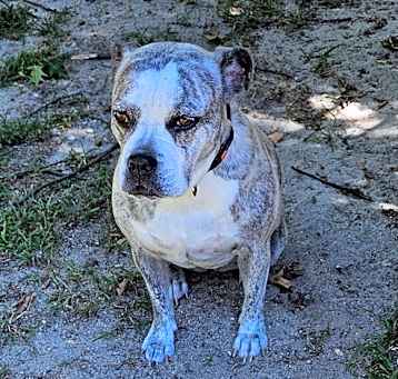 Photo of EMMY