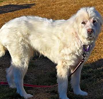 Photo of Hattie
