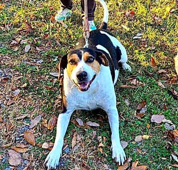 Photo of Jazzy   (II)