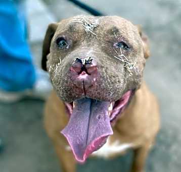 Photo of MARCY
