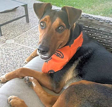 Photo of Bert