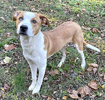 Photo of Duke
