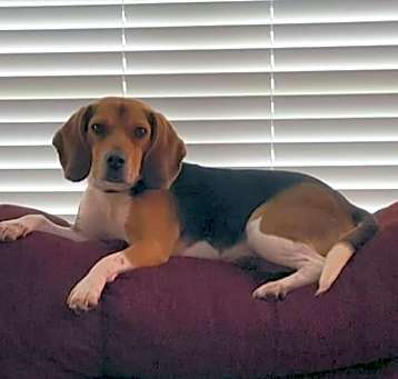 Photo of Arwen
