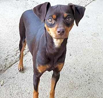 Photo of HALLIE