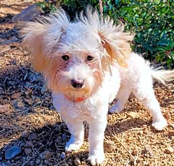 Photo of Morita