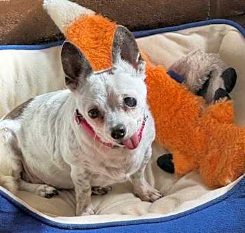 Photo of Cosette