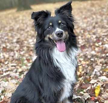 Photo of Finn