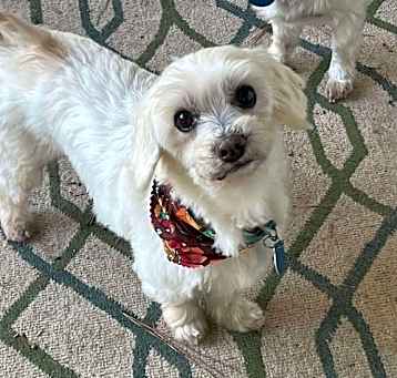 Photo of Charlie
