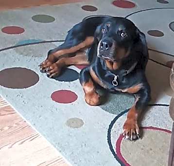Photo of Mabel