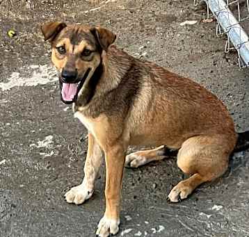 Photo of Tito