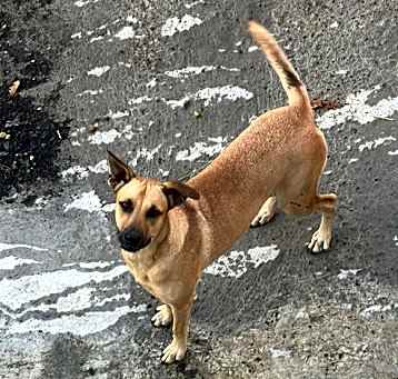 Photo of Marley