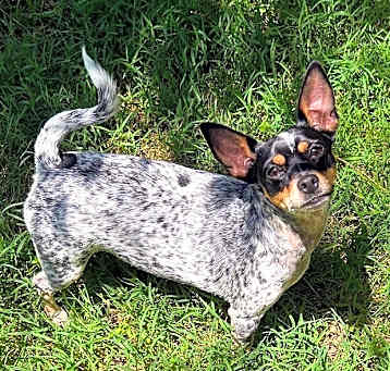 Photo of Molly