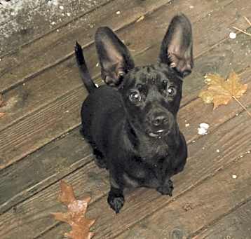 Photo of Junior