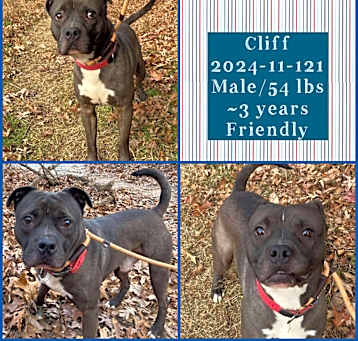 Photo of 2024-11-121 *Cliff*