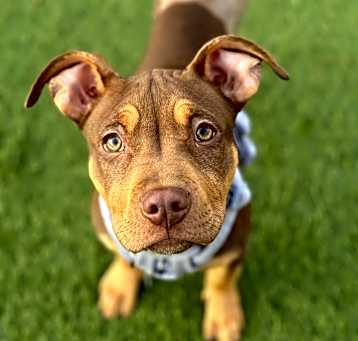 Photo of Cola