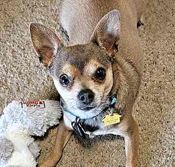 Photo of Max