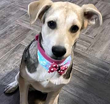 Photo of ELSA