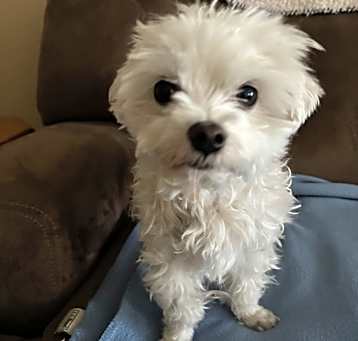 Photo of Marco